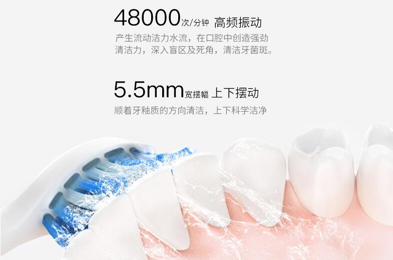羅曼電動(dòng)牙刷