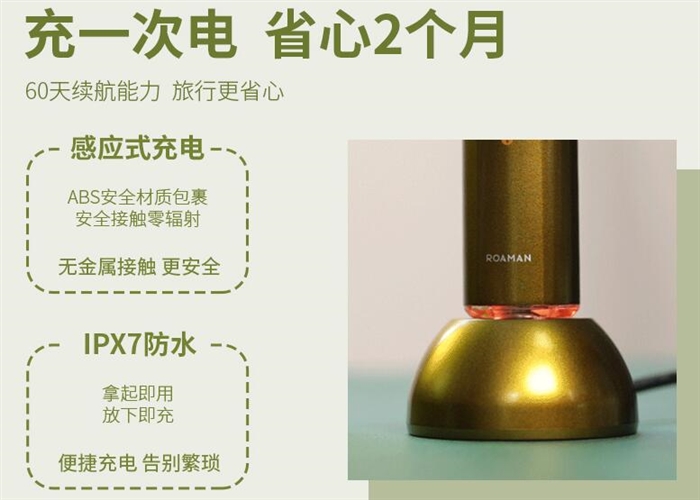 聲波電動牙刷